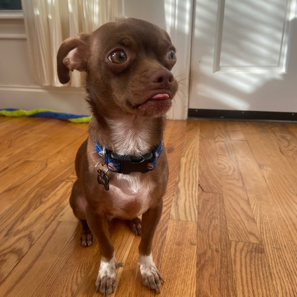 Meet your Posher, Jessica - Picture 4 of 4